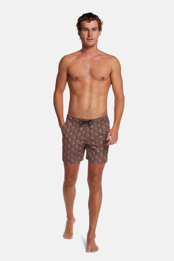 Coves * The Print Swims